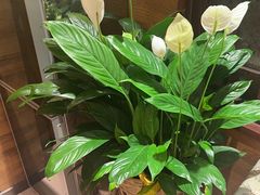 -西贝(六里桥旗舰店)