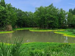 -桤木河湿地公园