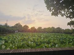 -长安上水缘度假庄园