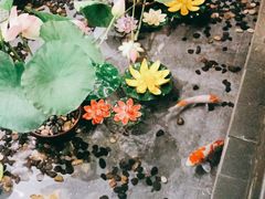 -儒之堂足道·推拿·SPA(安徽安庆店)