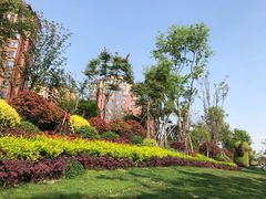 -天府芙蓉园