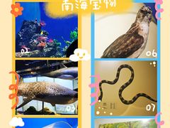 -中国（海南）南海博物馆
