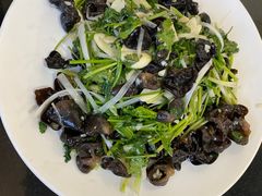 木耳-来顺成饭庄