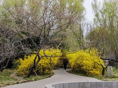 -莲花池公园