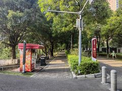 -广东花都湖国家湿地公园