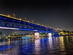 -武汉两江游览·夜游长江(汉阳门码头)