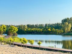 -东郊湿地公园