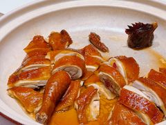 -侨美·唐荔园·40年地道粤菜