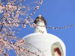 -国家大剧院