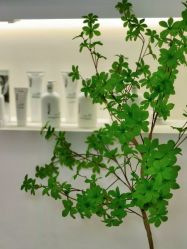 -BiuBiu Beauty·肌肤管理