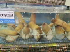 -欢乐海岸美食联盟