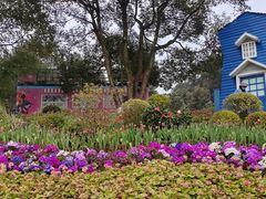 -铁山坪森林公园