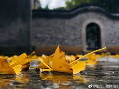 -南山风景名胜区