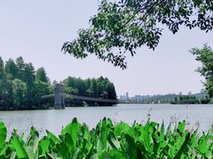 景点-东湖落雁景区