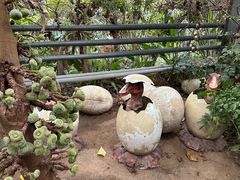 -呀路古热带植物园
