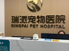-瑞派康怡24h宠物医院·犬猫医疗中心·微创绝育(瑞景分院)