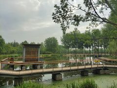 -东郊湿地公园