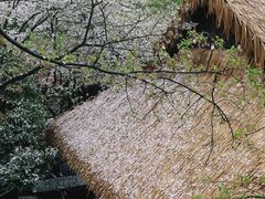 -中国茶叶博物馆(双峰馆区)
