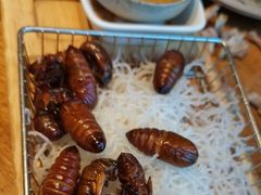 -鸽子窝(青塔店)