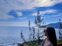 -广东惠东海龟国家级自然保护区