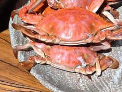 -和源祥·日照菜扛把子(万平口一店)