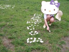 -紫海香堤香草艺术庄园