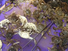 全盛自助餐-全盛海鲜烤肉自助(新玛特店)
