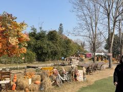 -HERRE·FARM 赫尔露营农场·团建聚会包场