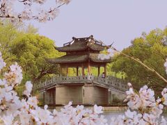 -西湖外事游船(花港观鱼码头)