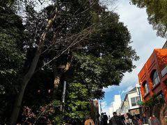 -井之头恩赐公园