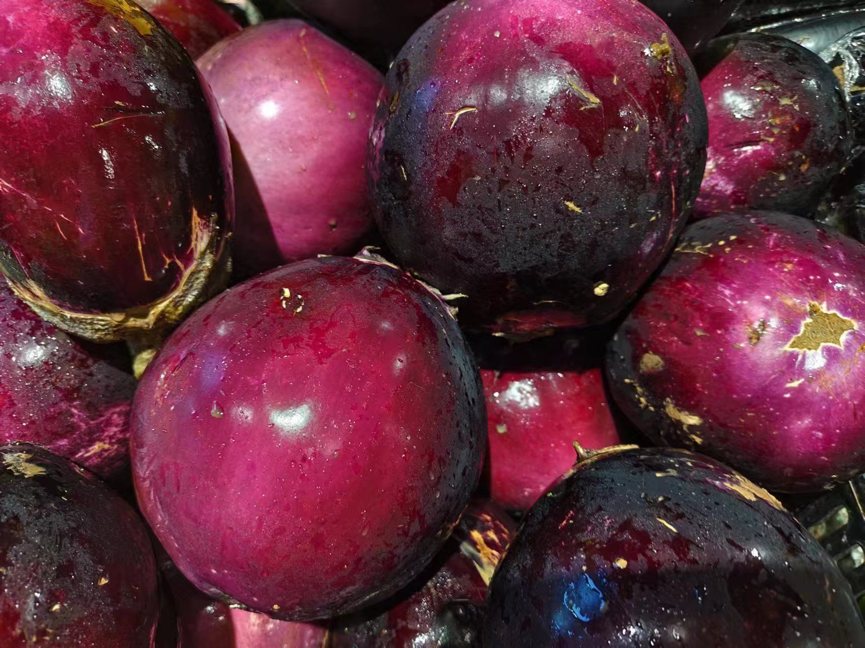 茄子可以生吃哎