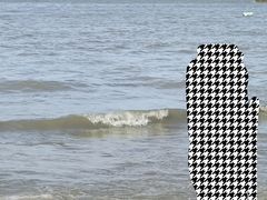 -金海湾海鲜排档(朱家尖店)