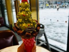 圣诞树-哈根达斯(国瑞店)