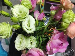 -百年夯碳烤胡椒饼(阿拉城店)