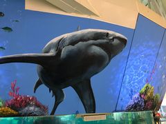 -鸿通城购物中心