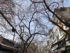 -老乌家特色小炒泡馍(大皮院店)