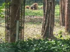 -秦皇岛野生动物园