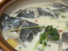-全乐鱼馆·淳牌有机鱼直营店