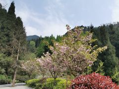 -太阳湾风景区
