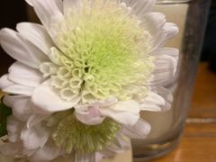 -归觅·西关小姐人文艺术馆(荔枝湾店)