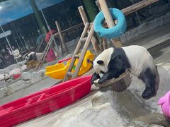 -栾川竹海野生动物园