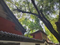 -陈氏肥蛤(小纬六路总店)