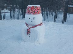 -北极村旅游风景区