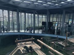 -大连森林动物园