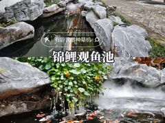 -广州市流溪河国家森林公园