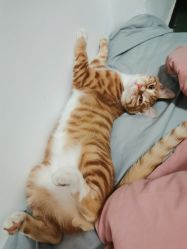 -初NAIL日式美甲美睫沙龙