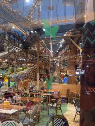 -卡通尼·Safari非洲探索乐园·生日会(金桥国际商业广场店)