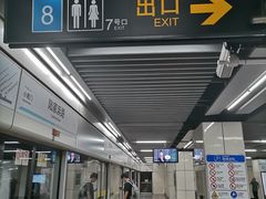 -陆家浜路(地铁站)