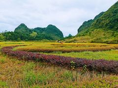 -靖西鹅泉风景区