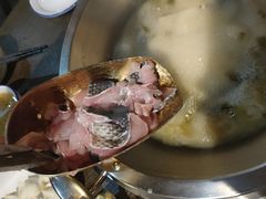 -土著渔匠·养生蝴蝶鱼(香樟路店)